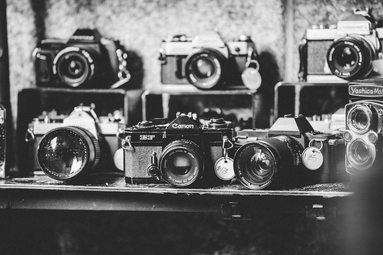 De voordelen van samen fotograferen
